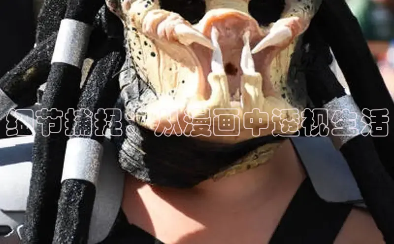 虫虫漫画网站虫虫漫画下拉式